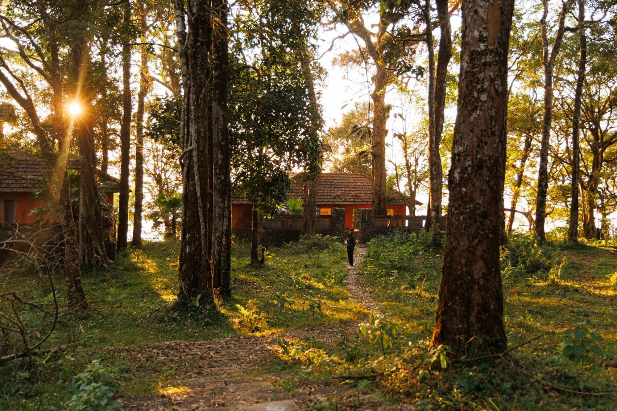 Jungle Park Resort By Greenescapes Vythiri Eksteriør billede