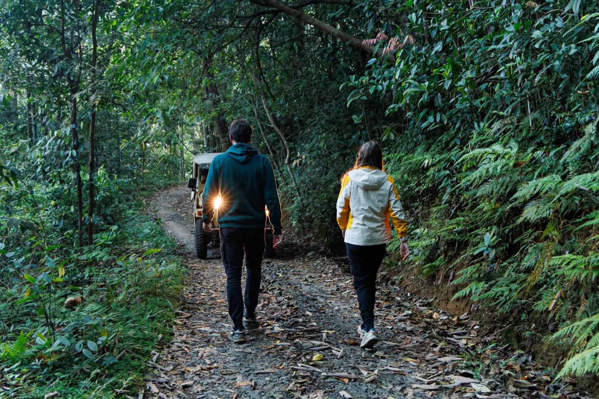 Jungle Park Resort By Greenescapes Vythiri Eksteriør billede