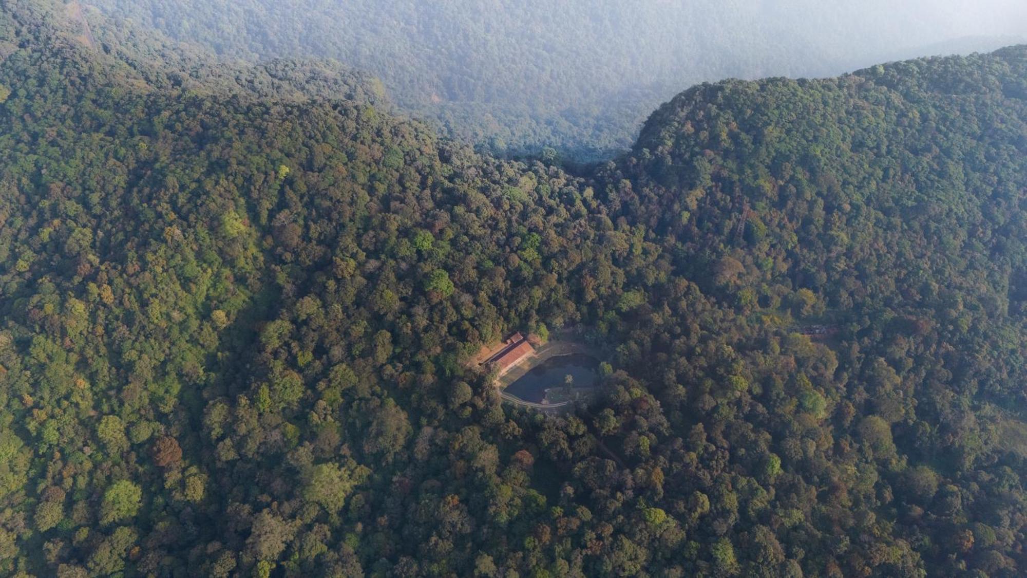 Jungle Park Resort By Greenescapes Vythiri Eksteriør billede